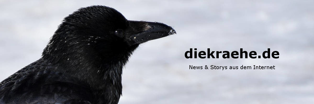 diekraehe.de - News & Storys aus dem Internet